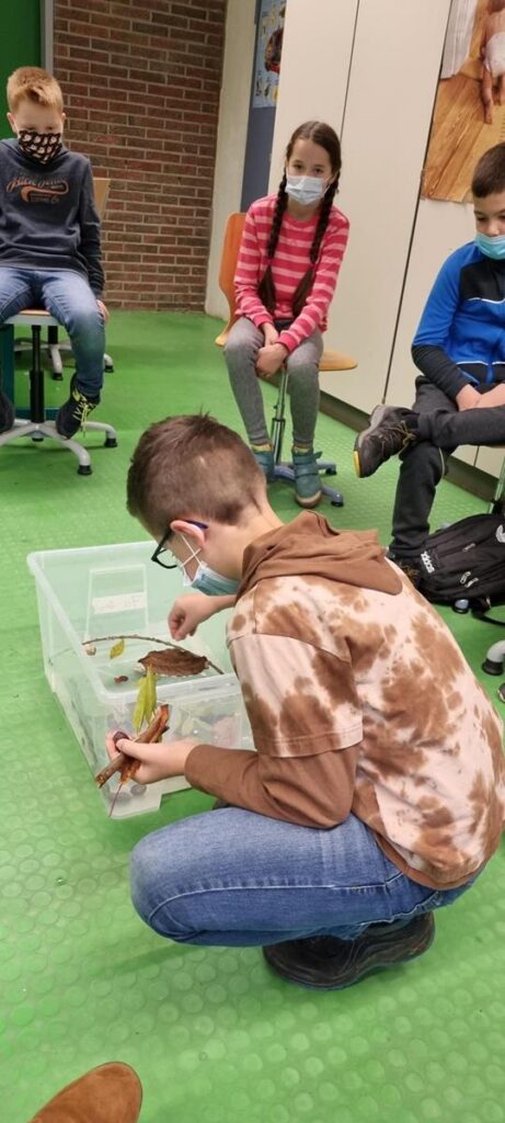 Schüler beobachtet Tiere in einem Behälter, andere Schüler sitzen im Hintergrund.