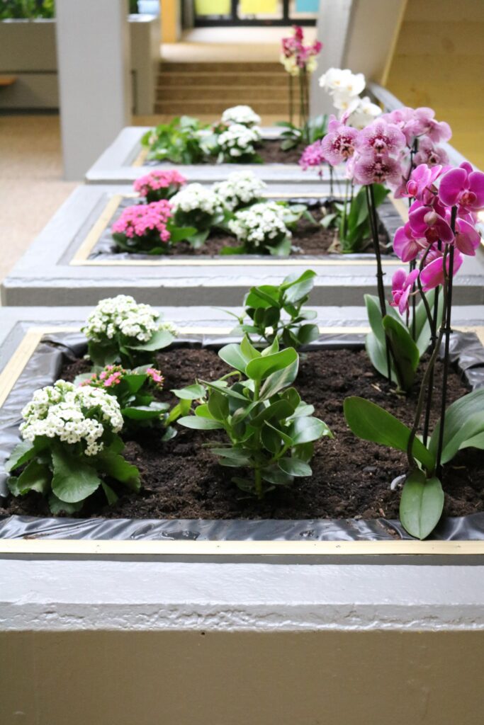 Bunte Blumenbeete mit Orchideen und anderen Pflanzen in einem Innenraum.