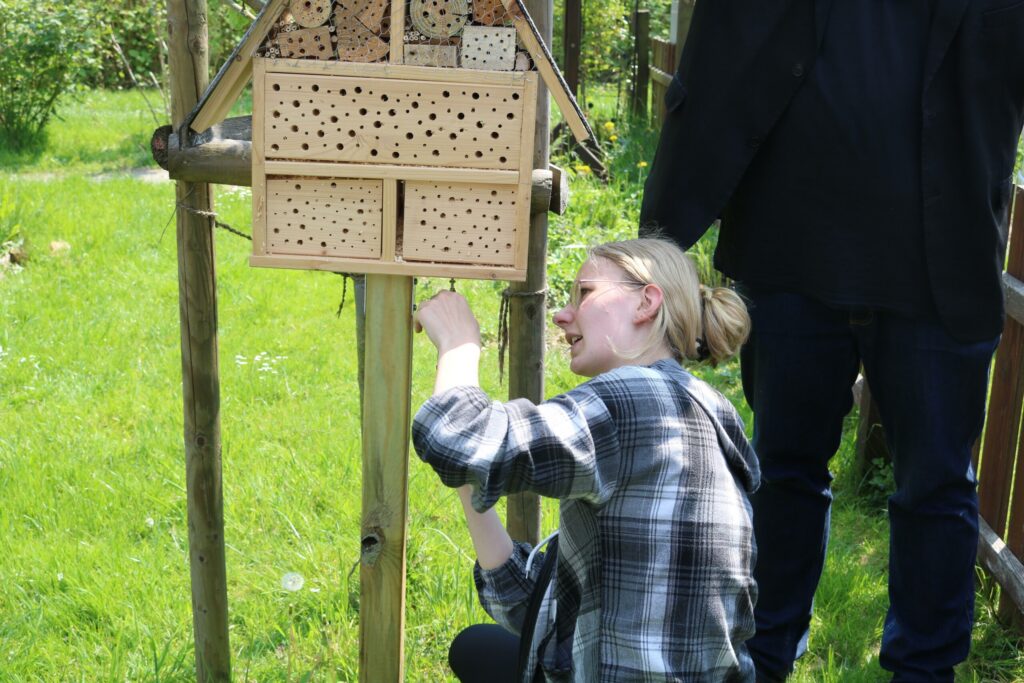 Eine Person befestigt ein Insektenhotel an einem Holzpfosten.