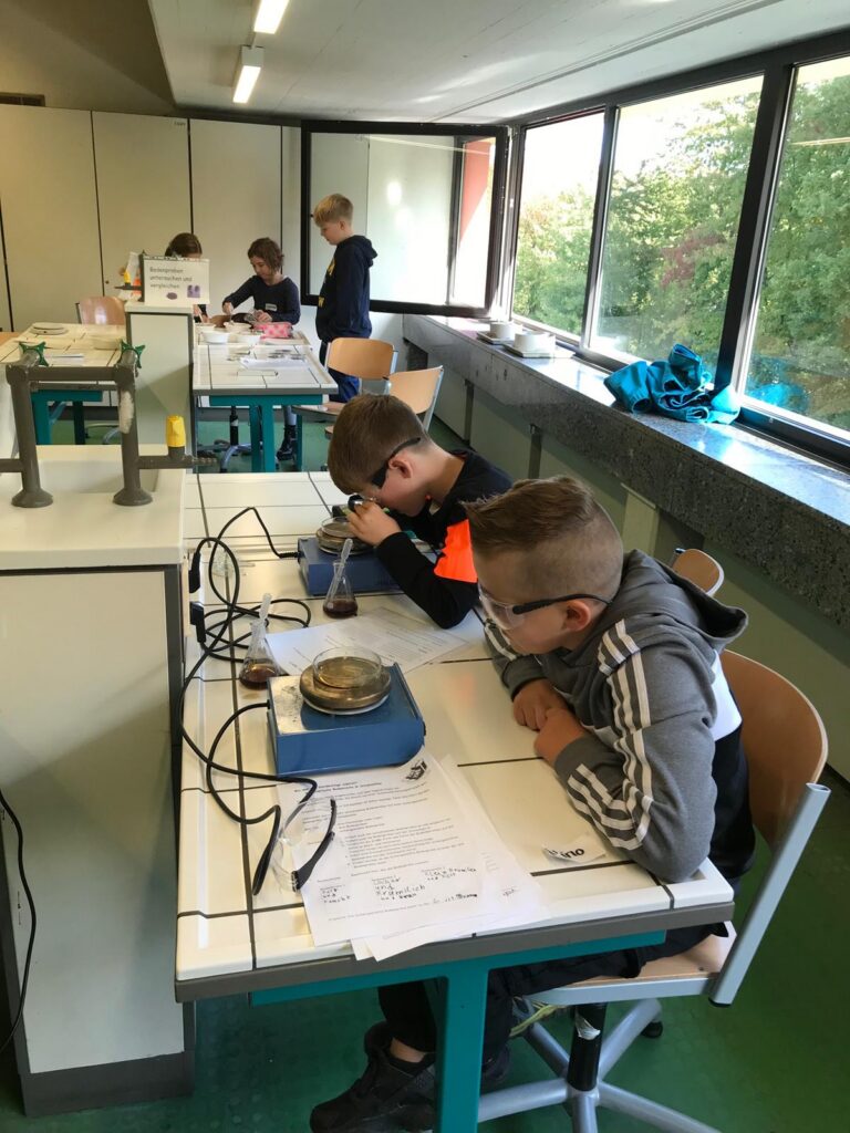 Schüler arbeiten in einem Labor an Experimenten an Labortischen.