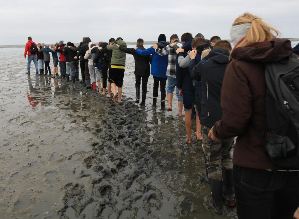 Grupp von Personen, die im Wattenmeer eine Kette bilden.