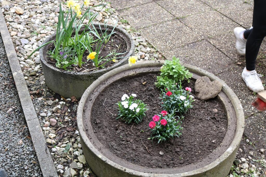 Blumenbeete mit bunten Pflanzen in runden Töpfen, umgeben von Steinen.