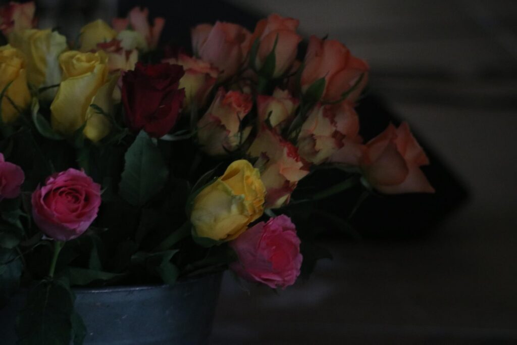 Bunte Rosen in einem metalischen Topf.