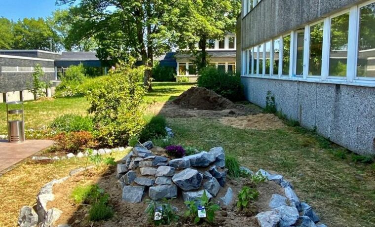 Gartenansicht mit Steinbeet und Pflanzen neben dem Schulgebäude.