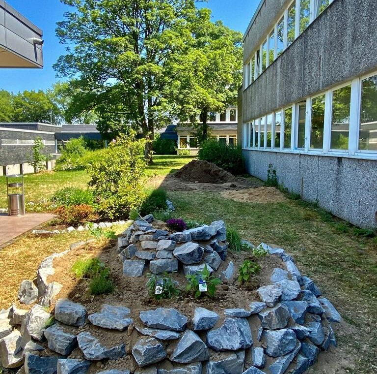 Gartenansicht mit Steinbeet und Pflanzen neben dem Schulgebäude.