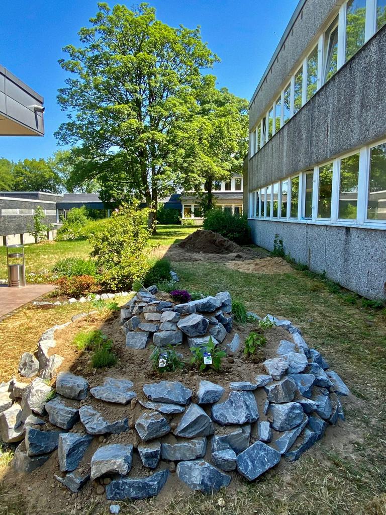 Gartenansicht mit Steinbeet und Pflanzen neben dem Schulgebäude.
