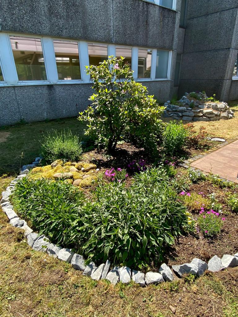 Ein bepflanzter Garten mit Steinen und verschiedenen Blumen vor einem Gebäude.