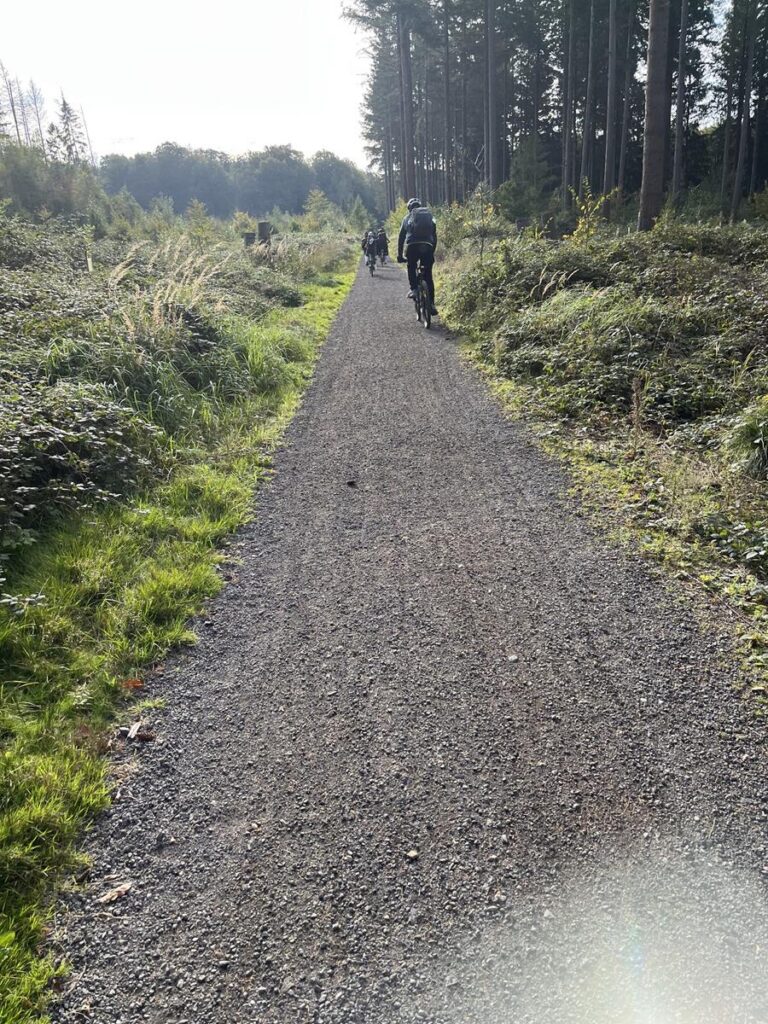 Wanderweg durch einen Wald mit mehreren Personen in der Ferne.