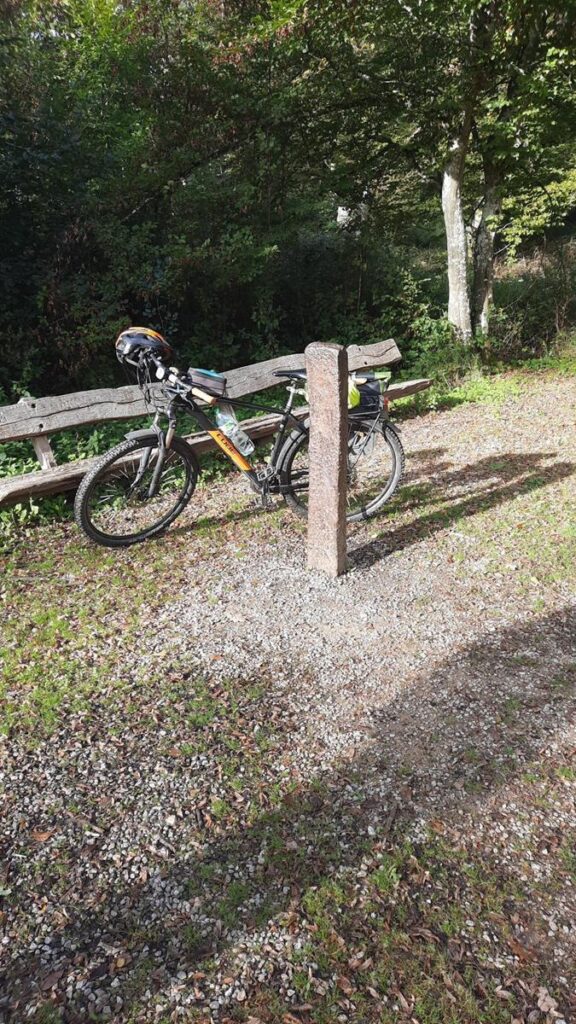 Fahrrad steht neben einem Steinsäulen-Marker in einem Waldgebiet.