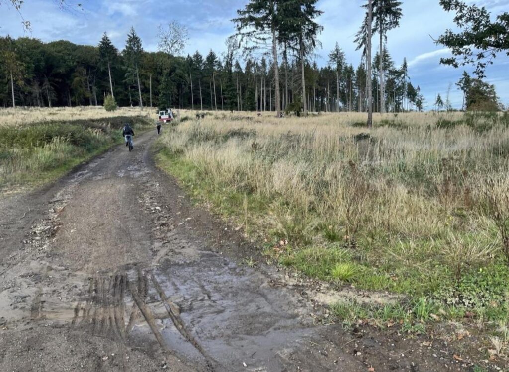 Landschaft mit unbefestigtem Weg, Bäumen und zwei Radfahrern im Hintergrund.