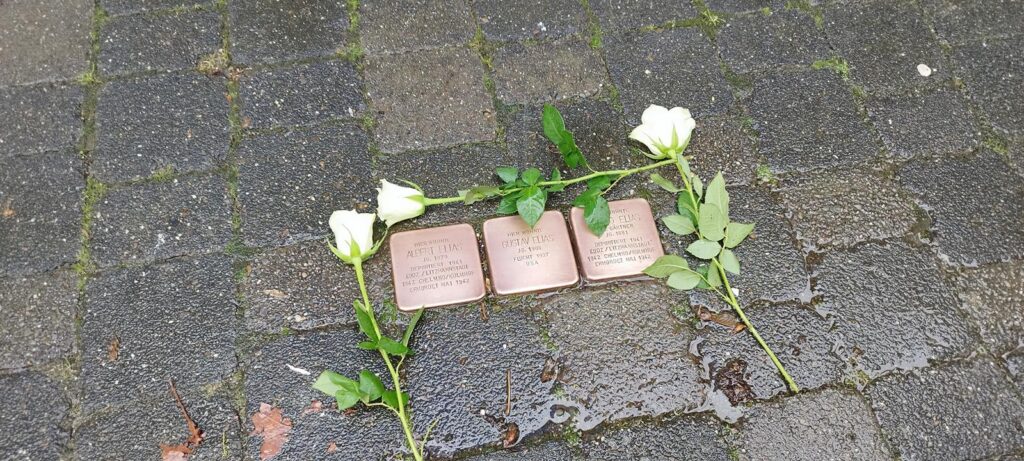 Drei Gedenksteine auf einem Pflaster mit weißen Rosen.