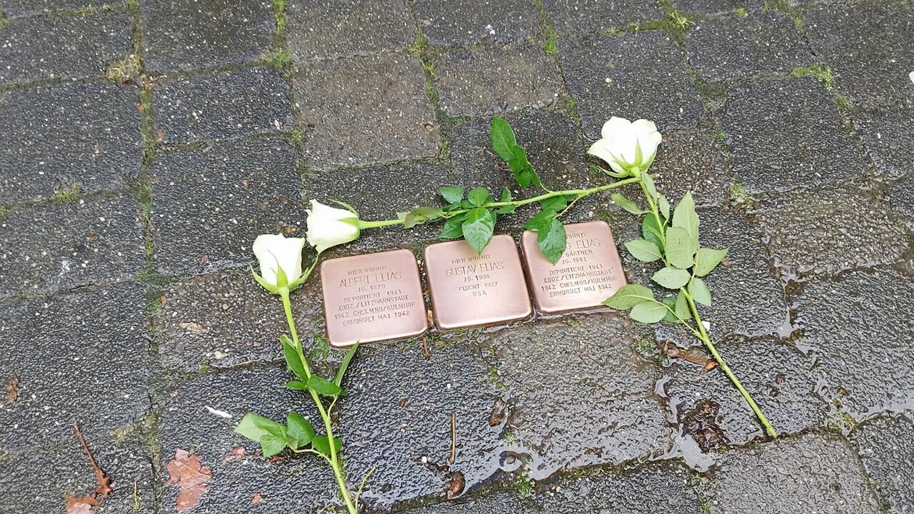 Drei Gedenksteine auf einem Pflaster mit weißen Rosen.