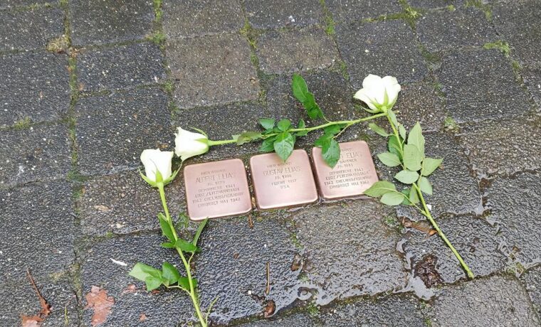 Drei Gedenksteine auf einem Pflaster mit weißen Rosen.