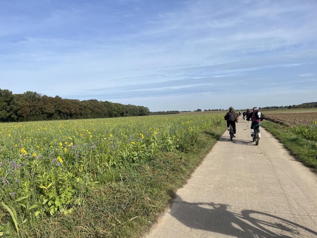 Radfahrer auf einem Feldweg, umgeben von Wiesen und Bäumen.
