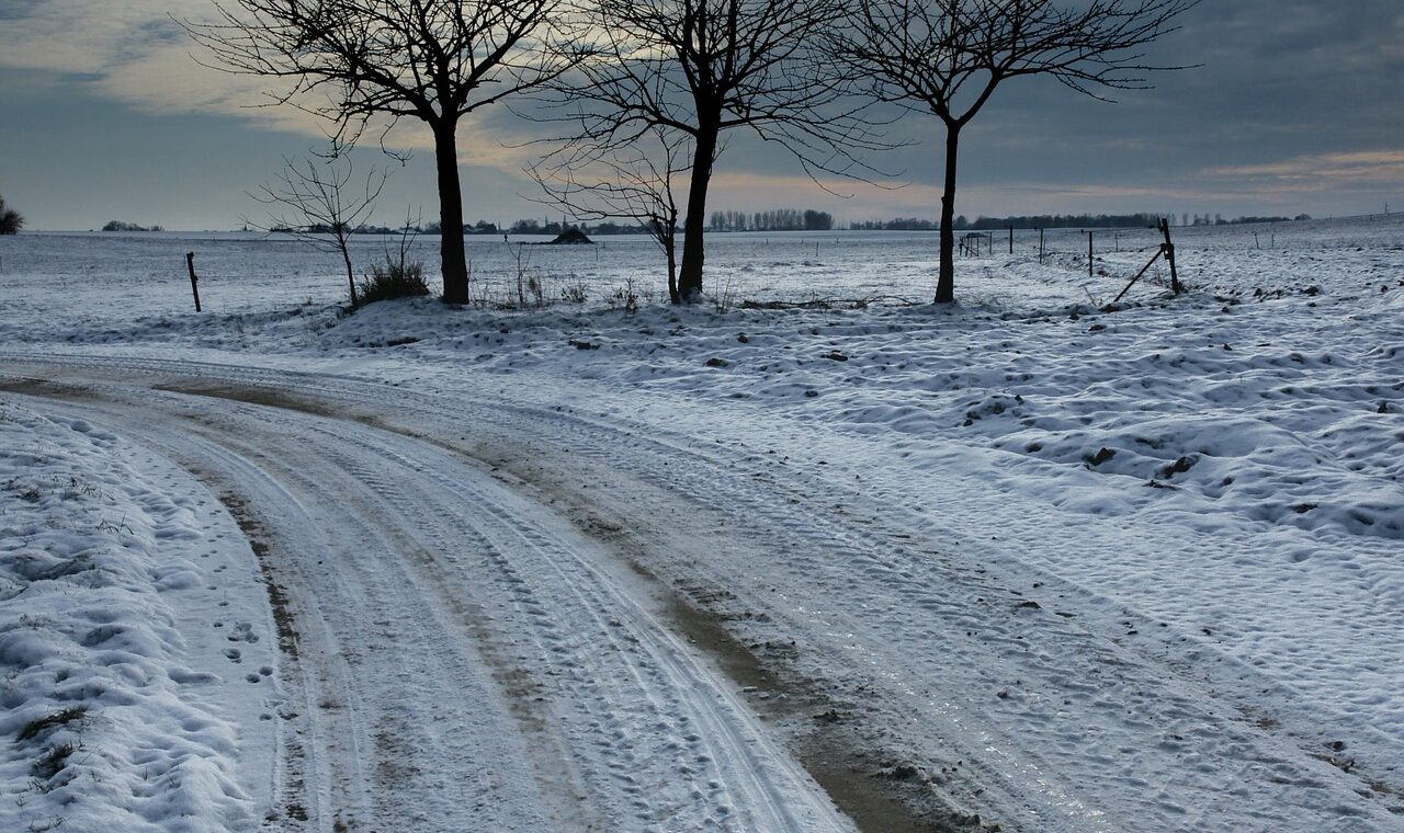 Winterliche Landschaft mit schneebedecktem Weg und drei Bäumen im Hintergrund.