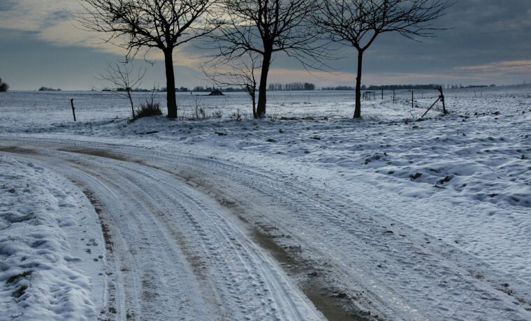 Winterliche Landschaft mit schneebedecktem Weg und drei Bäumen im Hintergrund.