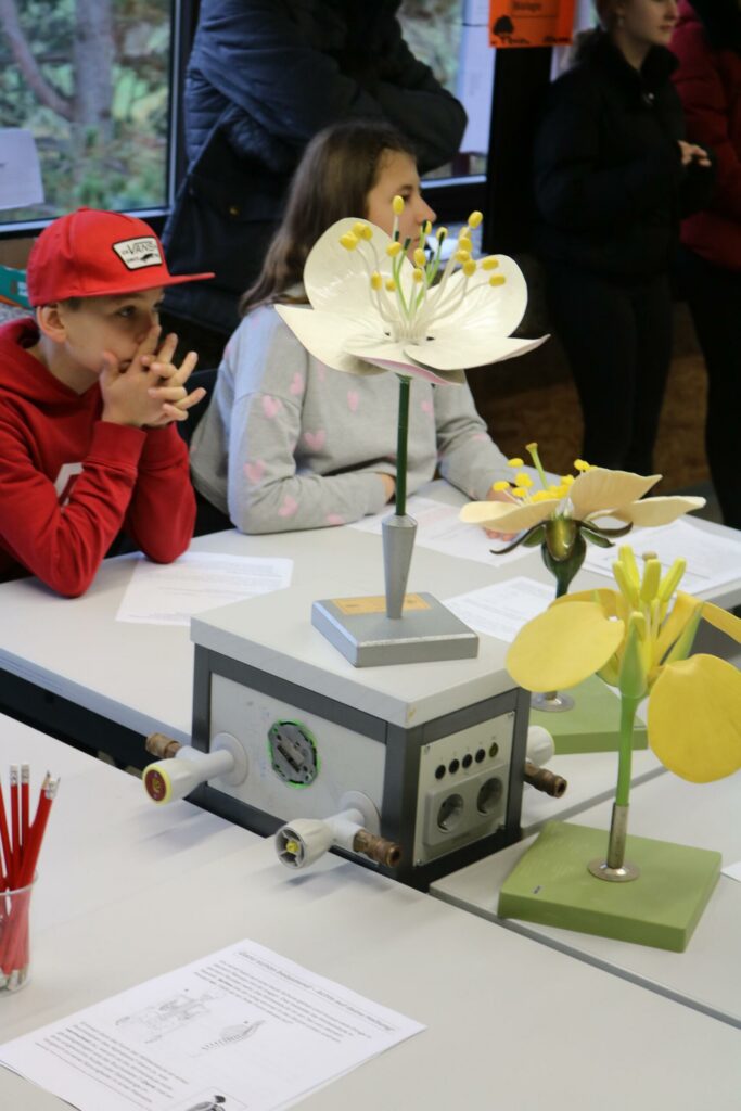 Schüler präsentieren Modelle von Pflanzen und Technik auf einem Tisch.