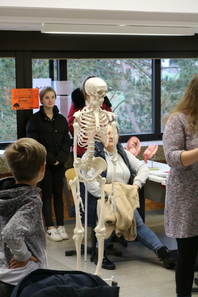 Skelettmodell steht im Vordergrund, Schüler und Lehrkräfte im Hintergrund.