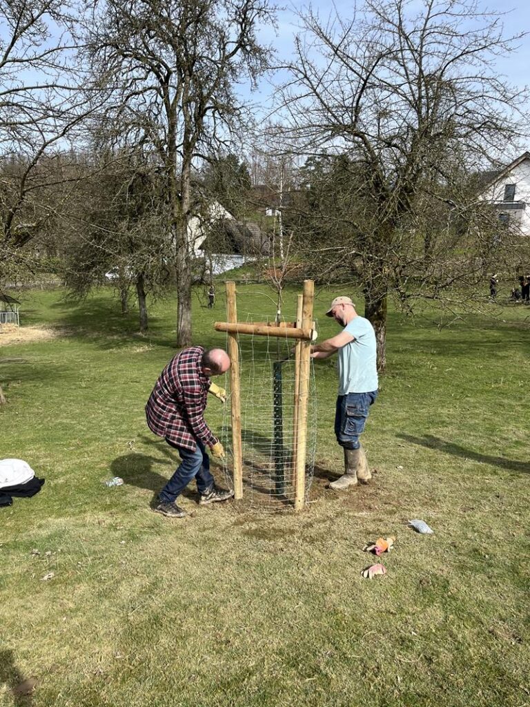 Zwei Männer bauen einen Holzzaun im Garten auf.