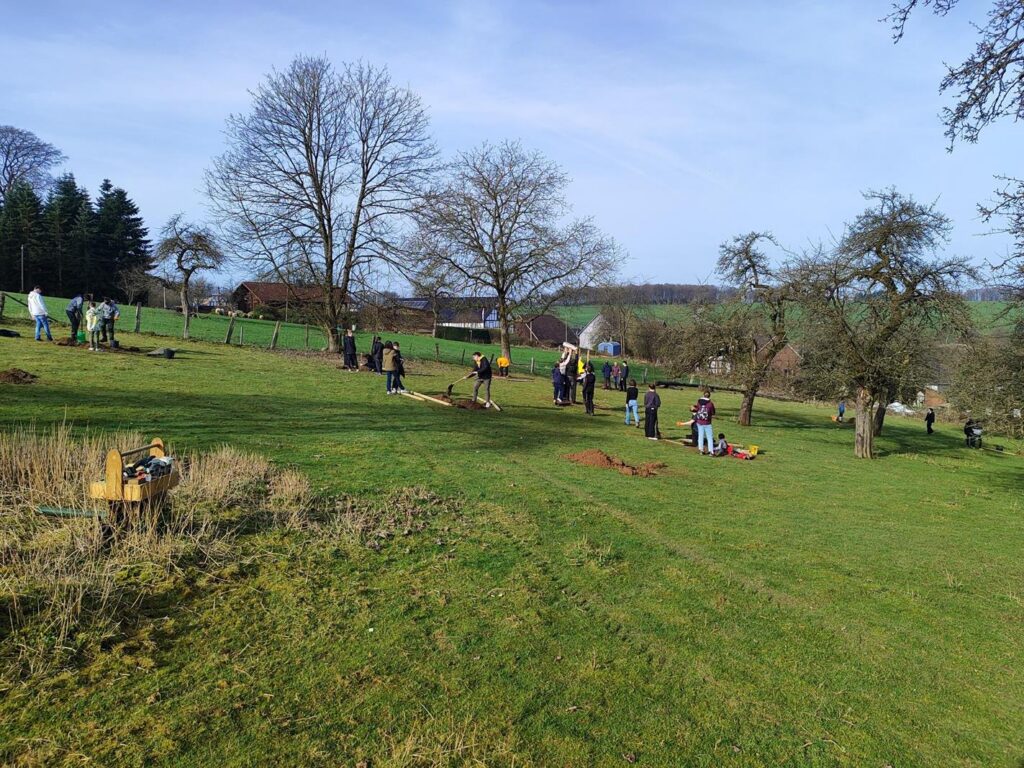 Gruppen von Menschen arbeiten auf einer Wiese mit Bäumen im Hintergrund.