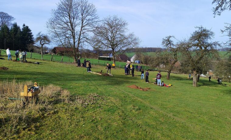 Gruppen von Menschen arbeiten auf einer Wiese mit Bäumen im Hintergrund.