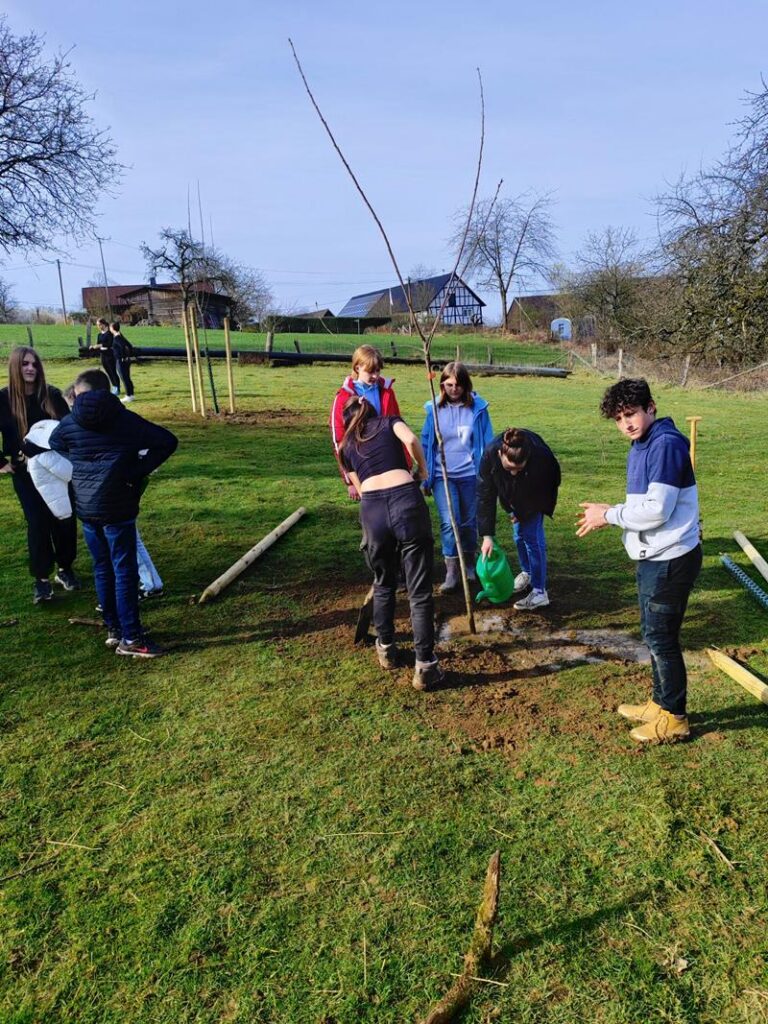 Schüler pflanzen einen Baum auf einer Wiese.