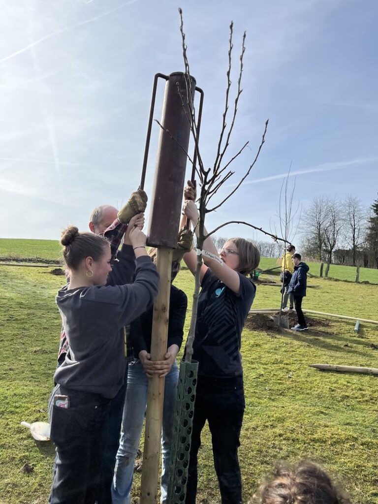 Schüler pflanzen gemeinsam einen Baum auf einer Wiese.