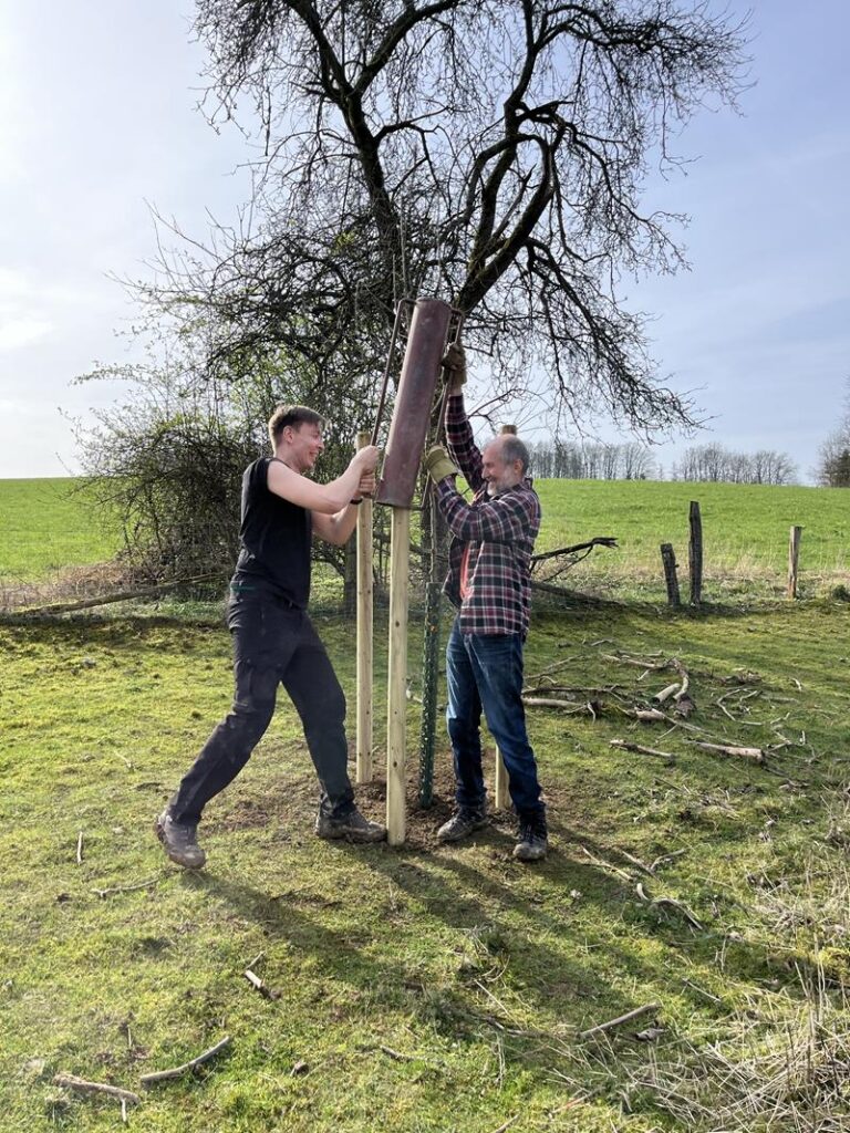 Zwei Personen montieren ein Objekt an einem Baum auf einer Wiese.