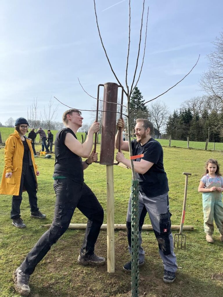 Personen pflanzen gemeinsam einen Baum auf einem Grünflächenareal.