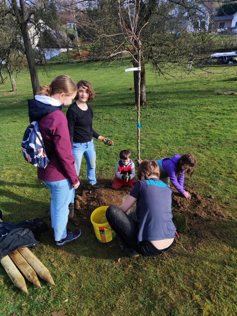 Gruppe von Kindern und Erwachsenen pflanzt einen Baum im Park.