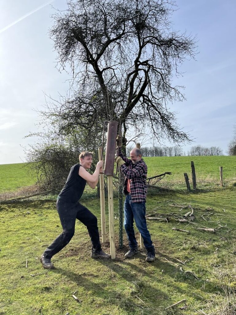 Zwei Personen arbeiten im Freien an einem Holzstamm neben einem Baum.