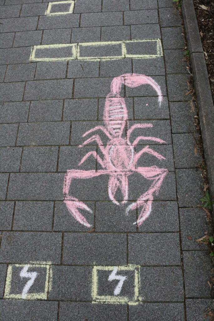 Eine große, pinkfarbene Skorpionzeichnung auf einem Gehweg mit verschiedenen Kästchen.