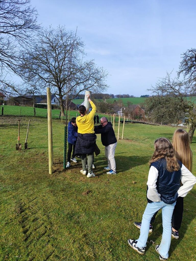 Schüler pflanzen Bäume auf einer Wiese.
