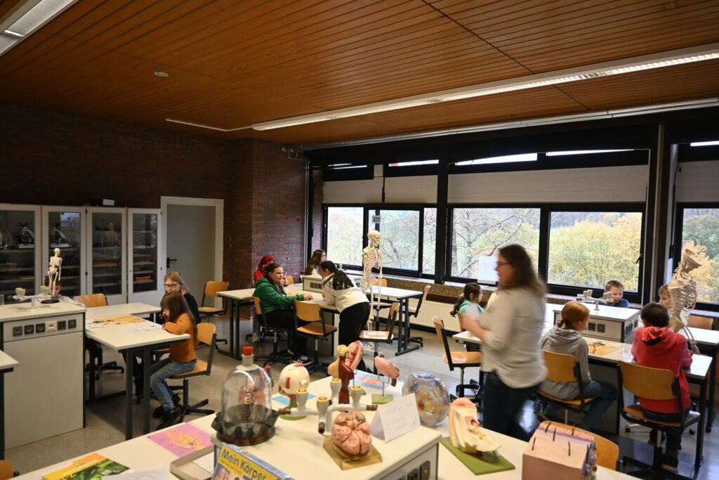 Schüler arbeiten in einem Klassenzimmer mit Tischen und Fenstern.