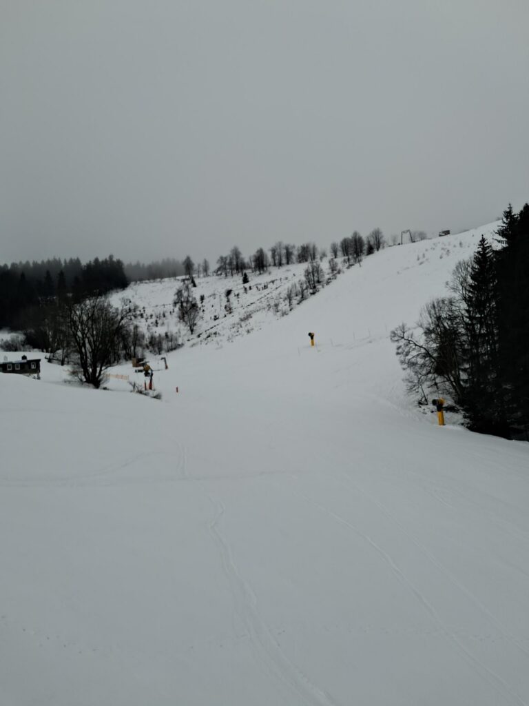 Skigebiet mit schneebedeckter Piste und vereinzelten Bäumen im Hintergrund.