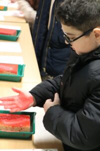 Ein Junge mit Brille betrachtet seine rot gefärbte Hand auf einem Tisch.