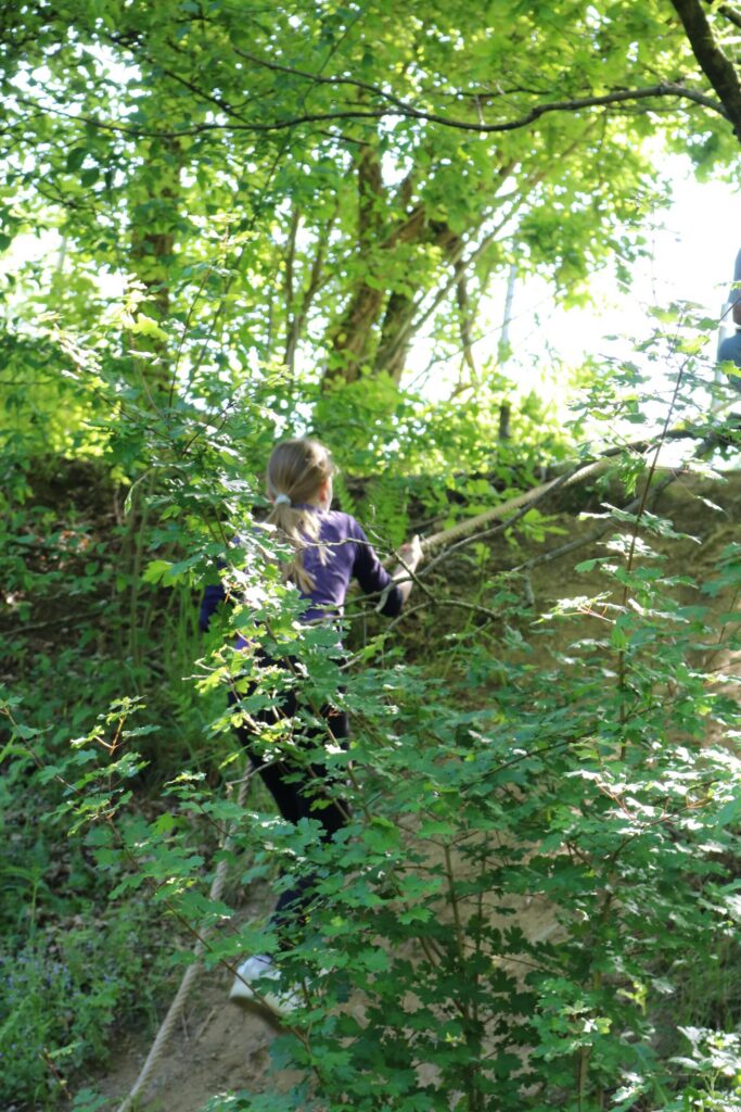 Person geht durch grünes Dickicht in einem Waldgebiet.